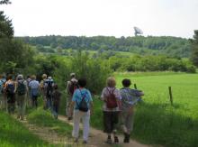 Wanderer am Stockert